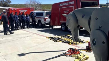 Firefighters gathered around an animal rescue trailer