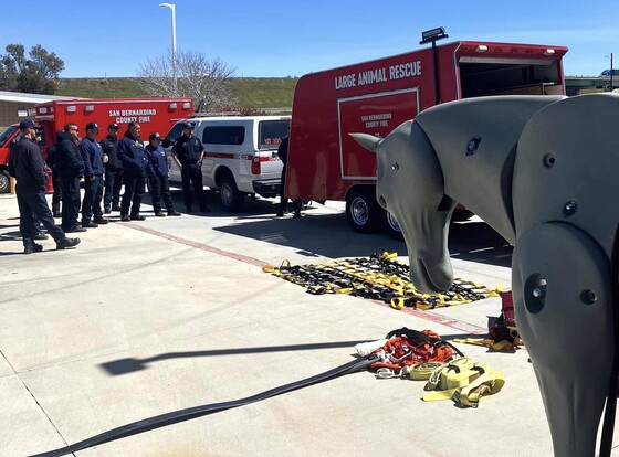 Firefighters gathered around an animal rescue trailer