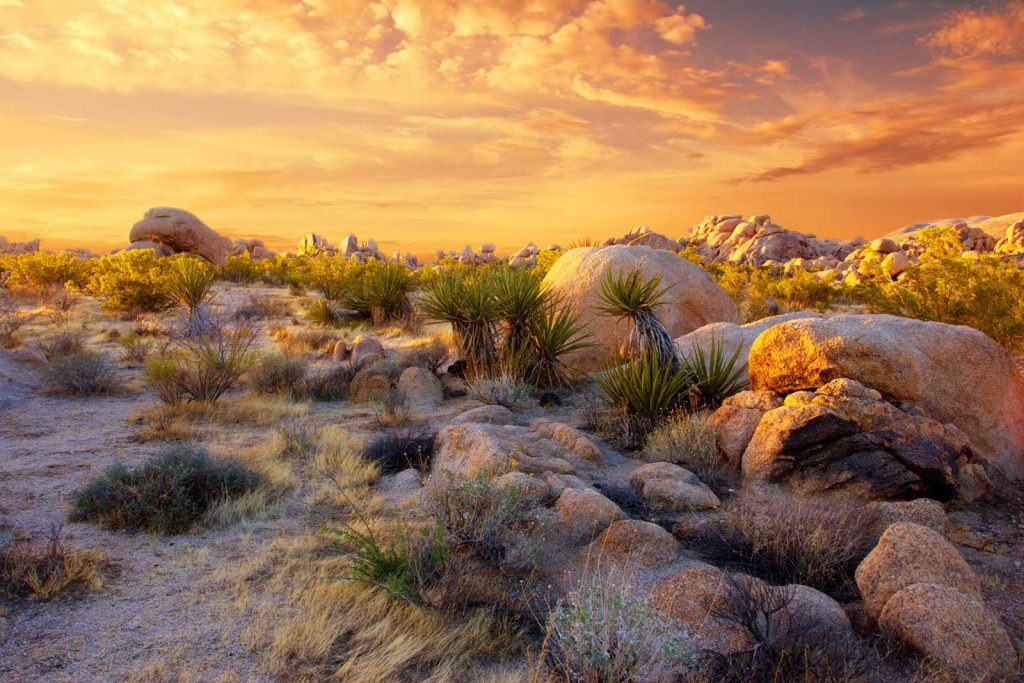 Sunset at Mojave Desert