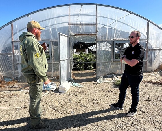 Officers stand outside a greenhouse filled with marijuana plants