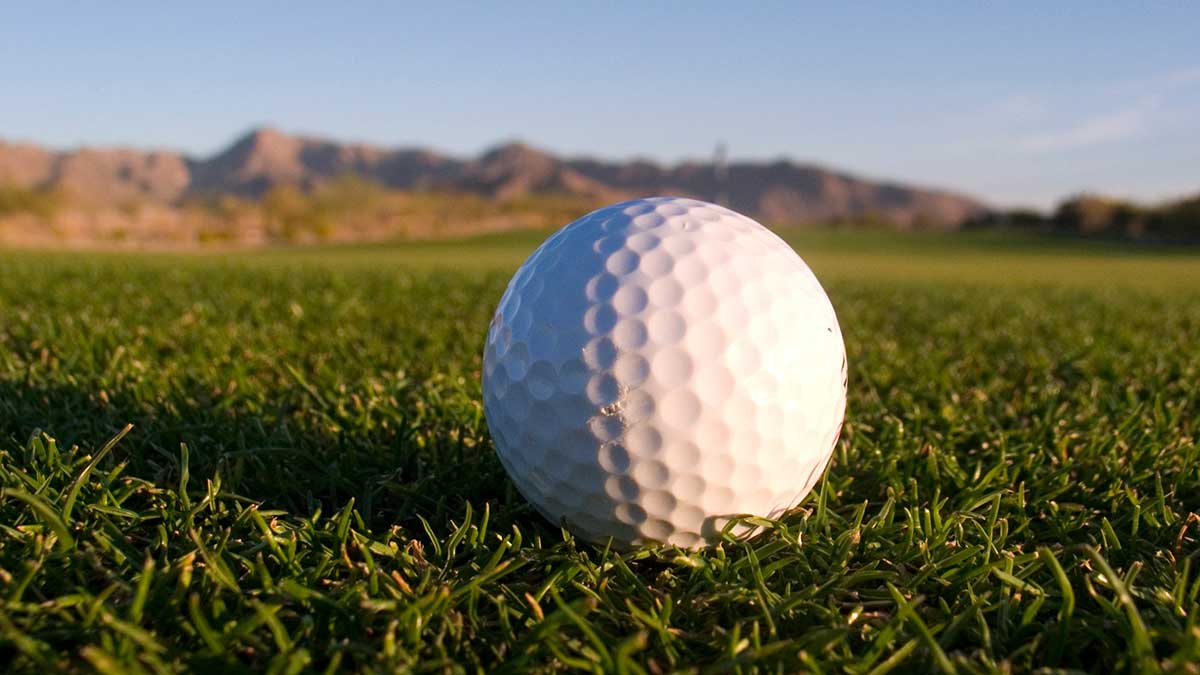 A golf ball sitting in the grass