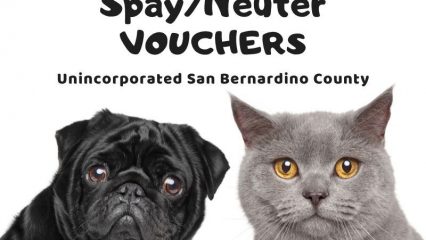 Spay/Neuter vouchers in unincorporated San Bernardino County