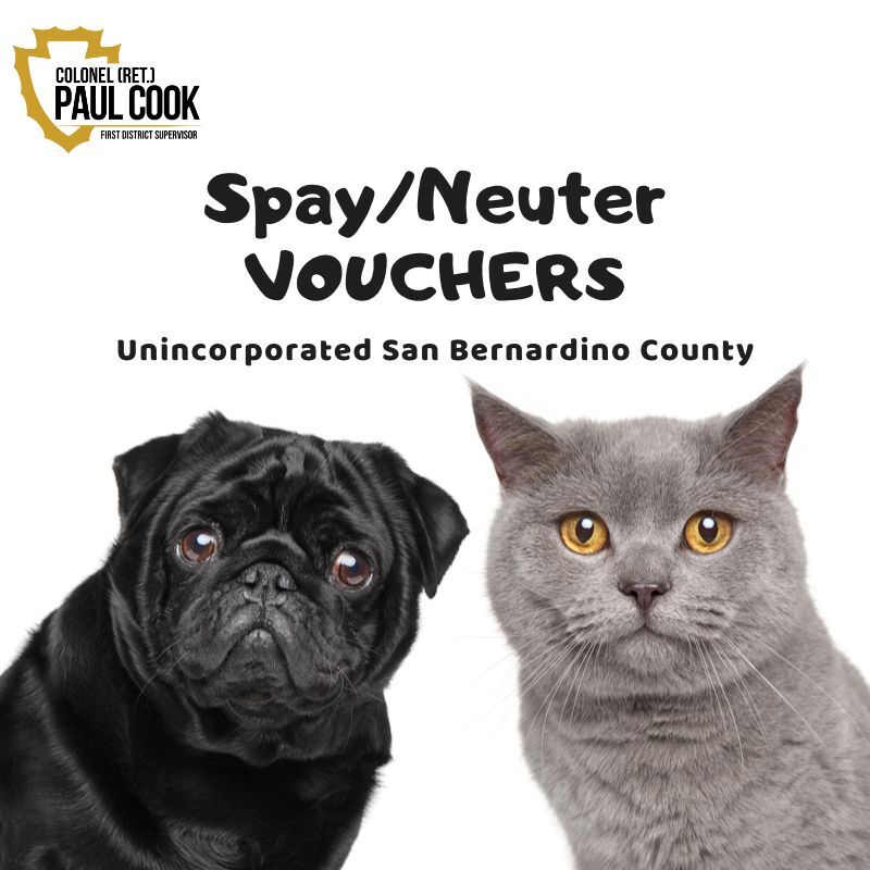 Spay/Neuter vouchers in unincorporated San Bernardino County