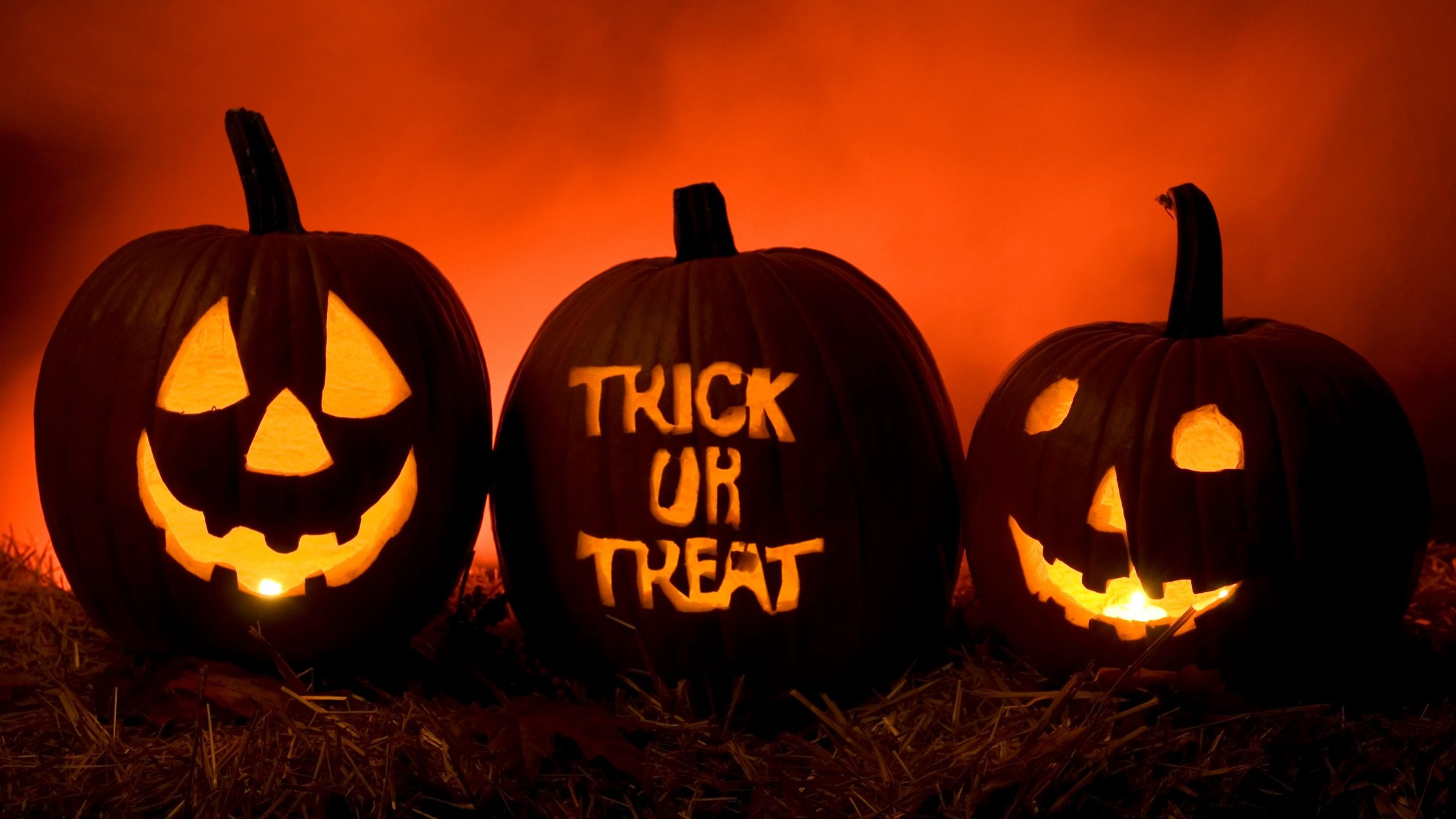 Photo of three pumpkins carved with Trick or Treat