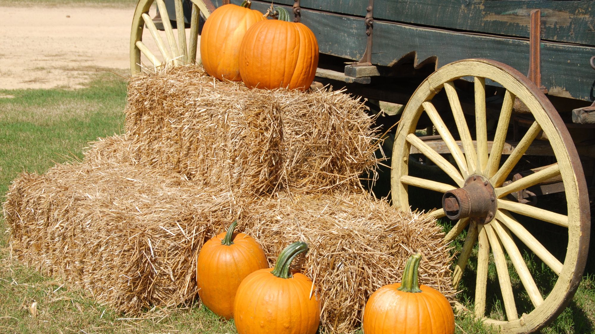 Haunted Hayride