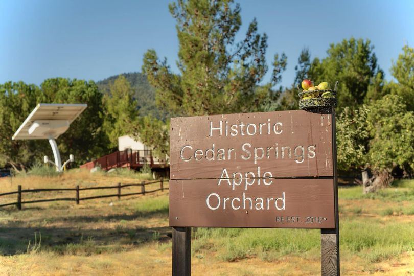 Photo of Cedar Springs orchard at Silverwood Lake