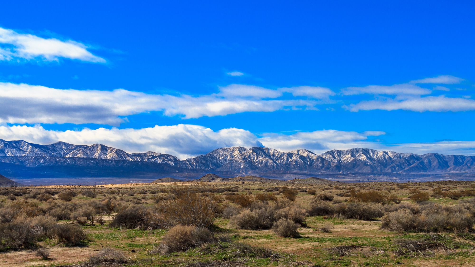 High Desert landscape with snow capped mountains in background