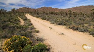 Mojave Road