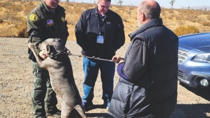 Deputies interacting with dog and homeless man.