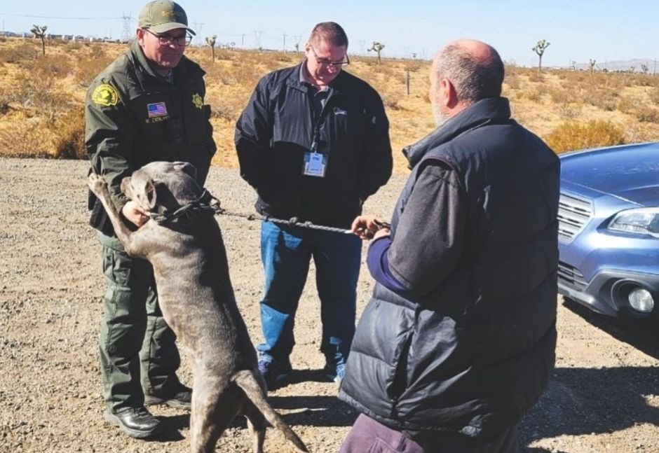 Deputies interacting with dog and homeless man.